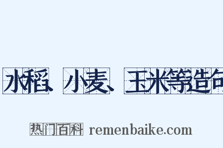 水稻、小麦、玉米等造句是什么意思的图片